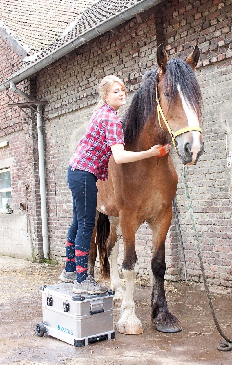 THE CASE FOR HORSE ENTHUSIASTS - Zarges USA