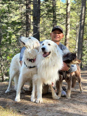 Dallas Sapla & Lilo, Kalea & June