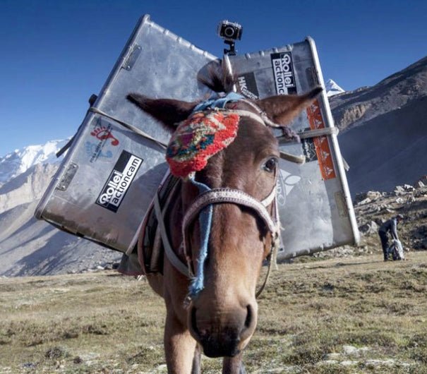 Zarges support trail of change expedition project - Zarges USA